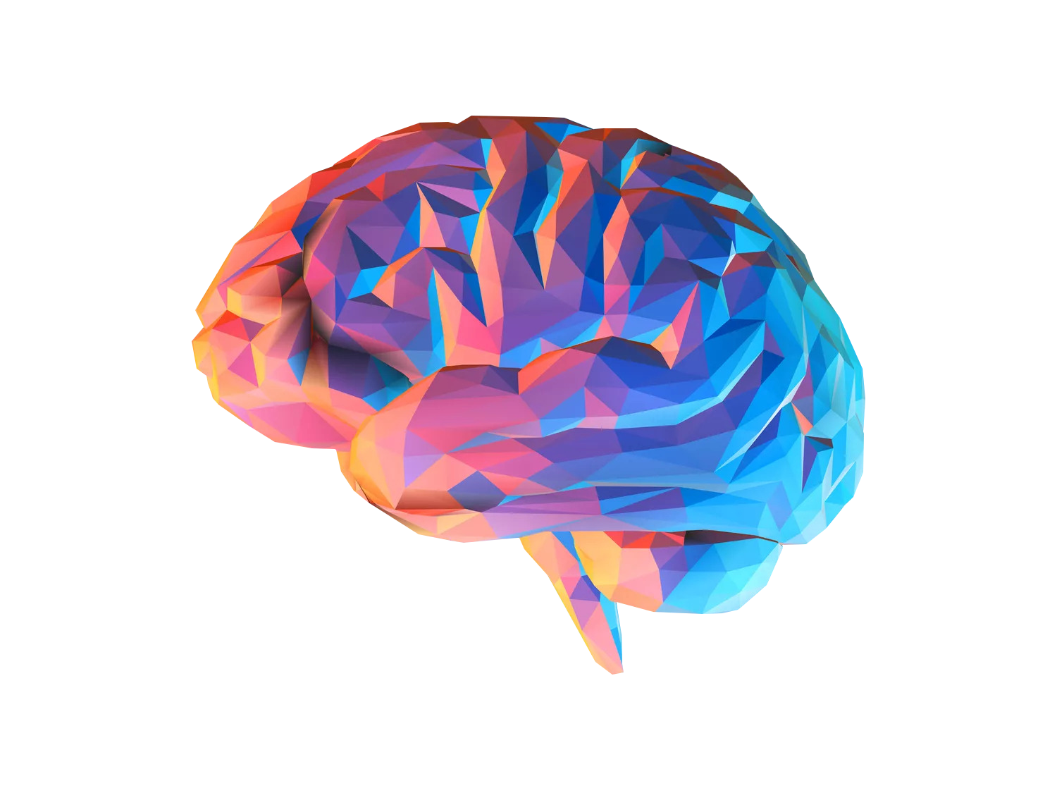 Cerebro